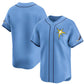 Tampa Bay Rays Blank Light Blue Alternate Limited Stitched Baseball Jersey